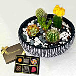 Cactus Echeveria with Artistic Birthday Chocolate