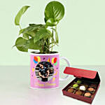 Personalised Mug Money Plant with No Sugar Chocolate
