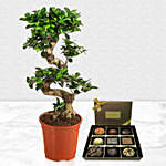 Enchanting Bonsai Plant with Happy Birthday Chocolate
