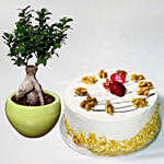 Coffee Cake with Bonsai Plant
