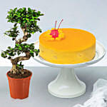 Mango Cake with Enchanting Bonsai Plant