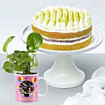 Matcha Cake with Personalised Mug Money Plant