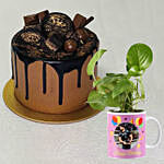 The Top Cake with Personalised Mug Money Plant