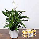 Attractive Peace Lily Plant with Ferrero Rocher