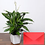 Attractive Peace Lily Plant with Greeting Card