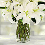 Serene Arranagement Of White Lilies