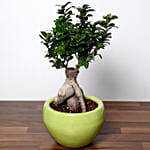 Handcrafted Solid Buddha Decorative Showpiece With Bonsai Plant