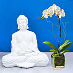 Handcrafted Solid Buddha Decorative Showpiece With Orchid Plant