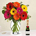 Heavenly Multicoloured Gerberas With Moet Champagne