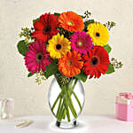 Heavenly Multicoloured Gerberas With Moet Champagne