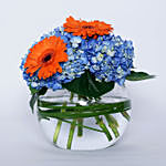 Lovely Hydrangea N Gerberas In Fish Bowl Vase