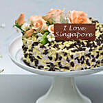 Chocolate And Vanilla Choco Chip Cake For National Day