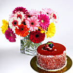 Elegant Gerberas In Glass Vase with Mini Mousse Cake