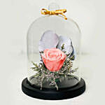 Forever Rose In Glass Dome Pink With Mini Mousse Cake