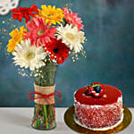 Mixed Brilliance Gerbera Vase with Mini Mousse Cake