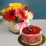 Petite Mixed Gerbera Floral Vase with Mini Mousse Cake