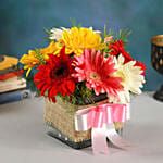 Petite Mixed Gerbera Floral Vase with Mini Mousse Cake
