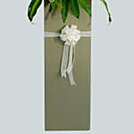 Heartfelt Condolence Mixed Flowers Grey Stand