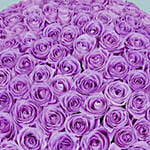 99 Purple Roses Bouquet