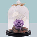 Forever Purple Rose In Glass Dome