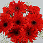 Blooming Red Gerbera Vase Arrangement