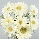 Blooming White Gerbera Vase Arrangement