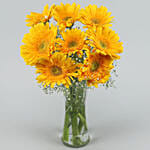 Blooming Yellow Gerbera Vase Arrangement