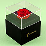 Forever Red Rose With Black Box & Black Forest Cake