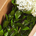 Blooming Hydrangea Sunflowers Box