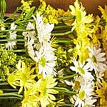 Blooming Mixed Chrysanthemums Box