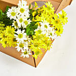 Blooming Mixed Chrysanthemums Box