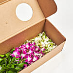 Delightful Orchids Freesia Box