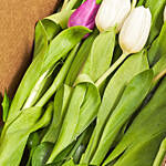 Lovely Mixed Tulips Box
