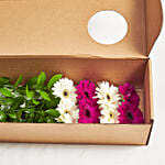 Ravishing Mixed Gerberas Box