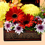 Exotic Mixed Flowers Arrangement