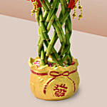 Lucky Bamboo In Chinese New Year Theme Pot