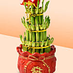 3 Layer Bamboo In Chinese New Year Theme Pot