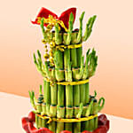 3 Layer Bamboo In Chinese New Year Theme Pot