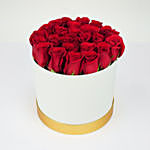 Red Roses Beauty In a Box