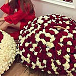Red & White Rose Arrangement for Valentines Day