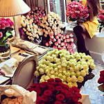 500 Colorful Roses for Valentines Day