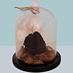 Black Forever Rose In Glass Dome For Valentines Day