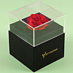 Forever Red Rose Box With Mini Moet Champagne 200 Ml For Valentines