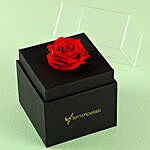Forever Red Rose Box With Mini Mousse Cake For Valentines