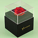 Forever Red Rose Box With Mini Mousse Cake For Valentines