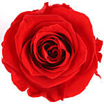 Forever Red Rose In Desingner Box for Valentines