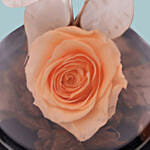 Peach Forever Rose In Glass Dome For Valentines Day