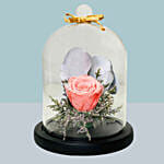 Pink Forever Rose In Glass Dome For Valentines Day