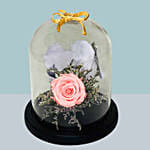 Pink Forever Rose In Glass Dome For Valentines Day