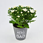 My Hero My Dad Chrysanthemum Plant